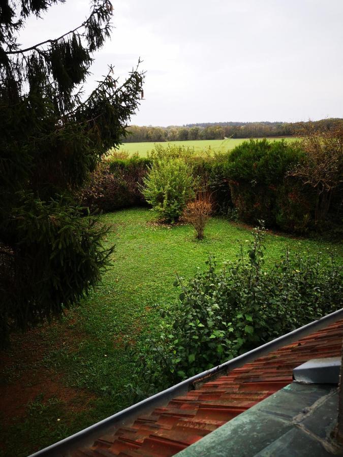 Bed and Breakfast Domaine De La Borde Damparis Exteriér fotografie